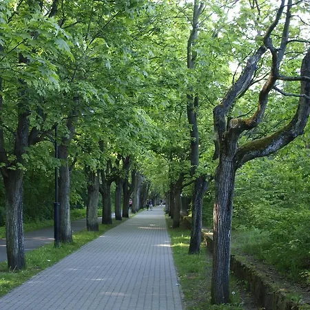 Kamienica Sopocka Apartment *