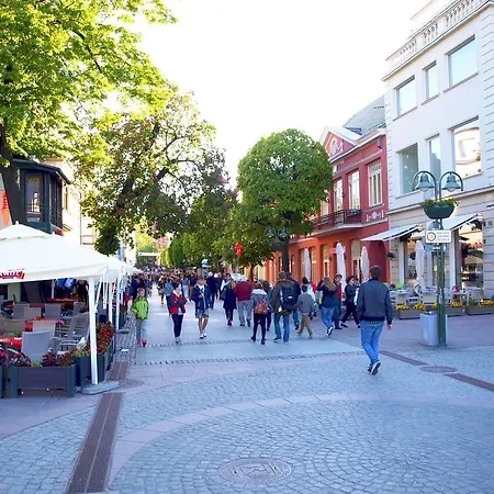 Kamienica Sopocka